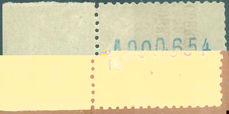 292hhhpor detras.jpg