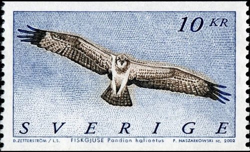 Sello calcográfico emitido por Suecia en 2002. Águila pescadora