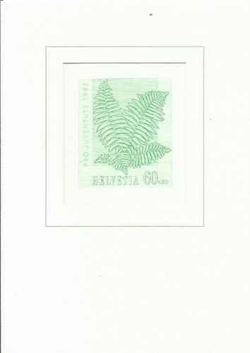 Nº.-67.jpg