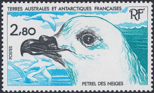 Pétrel des neiges (1985), una de las muchas aves que Andréotto ha creado para las emisiones de Taaf...