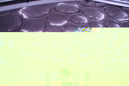 Cupula Milenio x dentro
