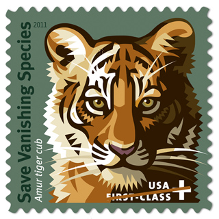 Tigre Siberiano.jpg
