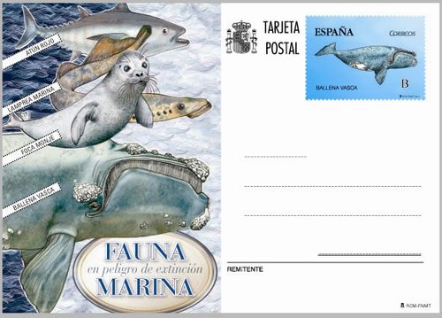 2013_Entero_Fauna_marina.jpg