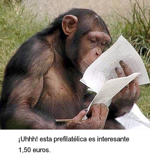 68.jpg