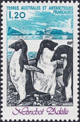 TAAF, 1980, emisión en dos valores. Pingüino adelaida