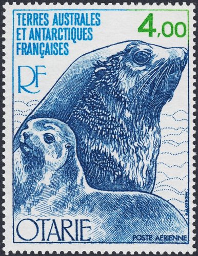 TAAF, 1978. León marino