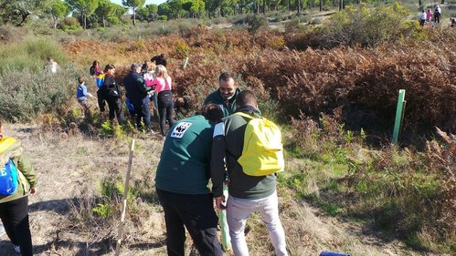 2017-11-17. PDF_NP_Reforestación_Doñana. Imagen. Baja.JPG