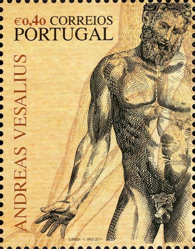 Sello emitido por Portugal. Ilustración procedente, como todas las de la hojita, de &quot;De humani corporis fabrica&quot;  (1543), de Vesalius