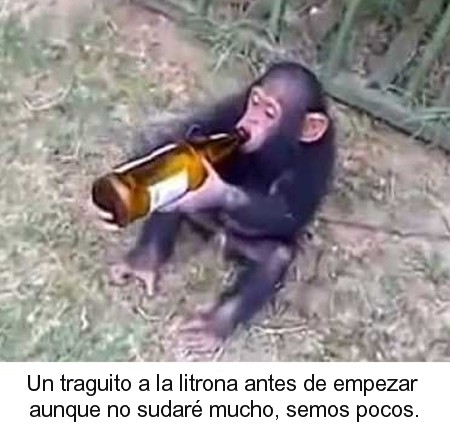 120.jpg