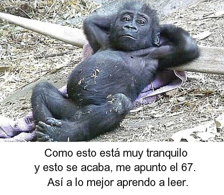 78.jpg