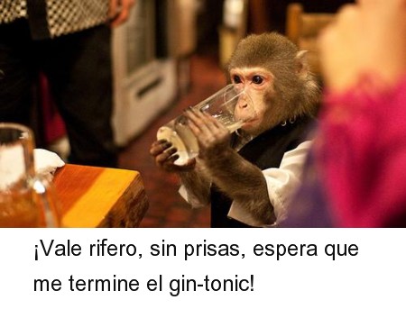 161.jpg