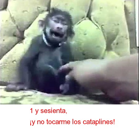 74.jpg