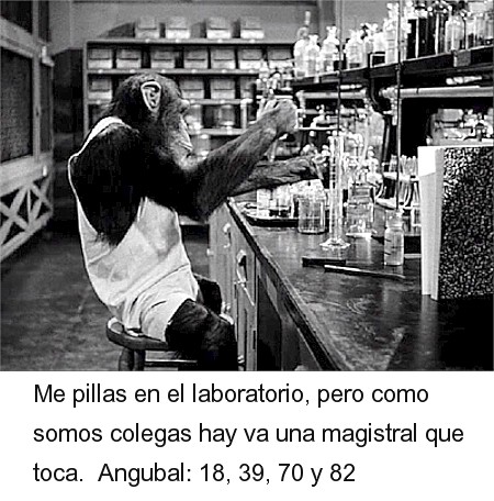 215.jpg