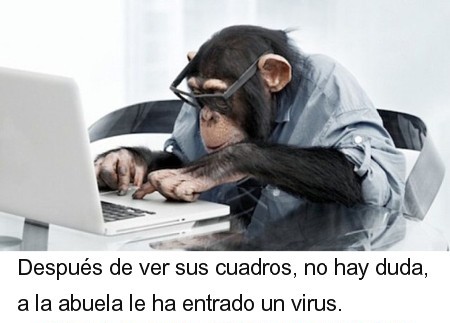131.jpg