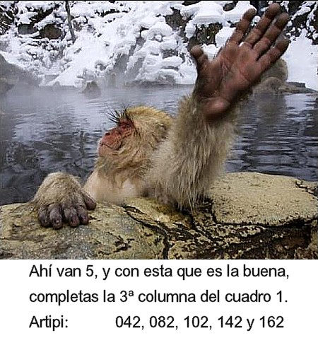 241 Con esta que es la buena.jpg
