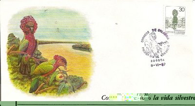Biodiversidad20. Baja.jpg
