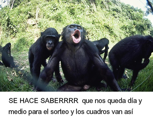 09.jpg