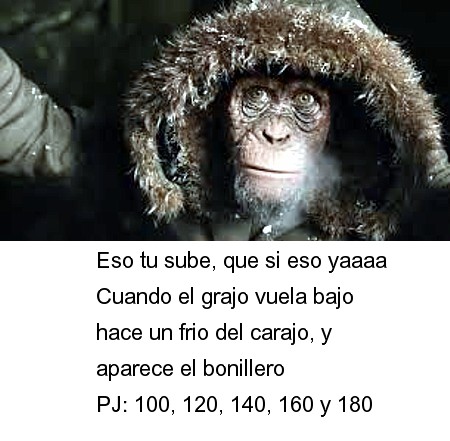 158.jpg