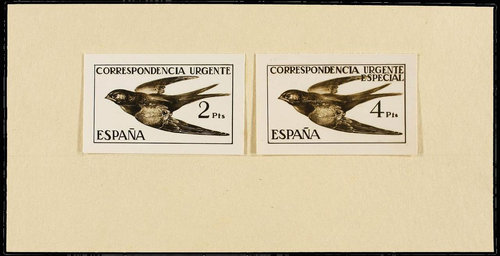 1185-1186.- Pruebas fotográficas.jpg