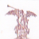 IMG.jpg