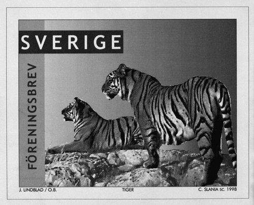 Y la otra maqueta original del sello grabado por Slania. Los tigres Lillan y Rani