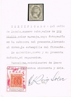 ROIG.jpg