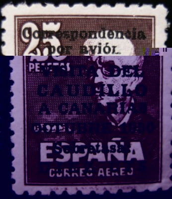 DSC03737.JPG