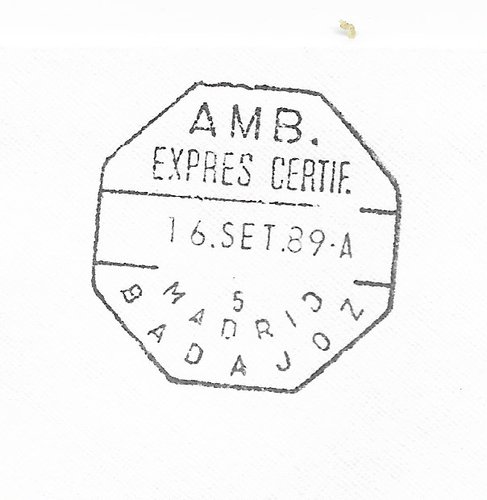 mad-bad.-exp.cert 5.jpeg