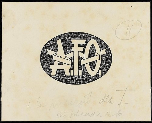 AFO.- 3.jpg