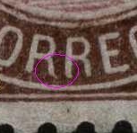 Img0033000330rr.jpg