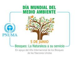 Día Mundial del Medio Ambiente1.JPG