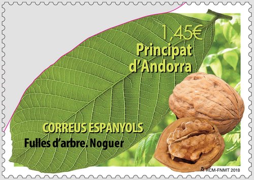 Andorra. 2018-05-25. Fulles d’arbre. Noguer. Boceto. Baja.jpg