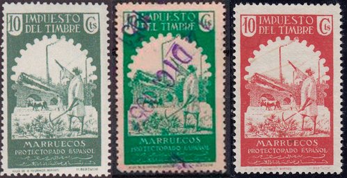 10-cts-rojo-labrador.jpg