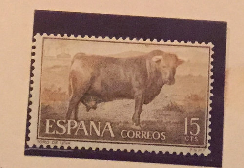 vaca.jpg