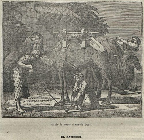 110a.jpg