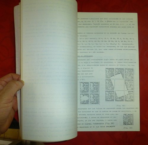 P1080824.JPG