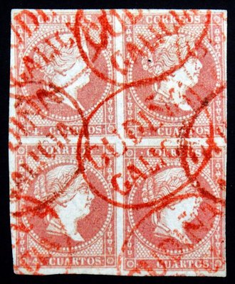 Gudiña falso