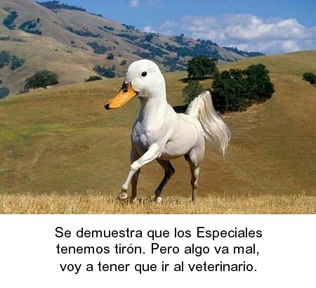 151.jpg