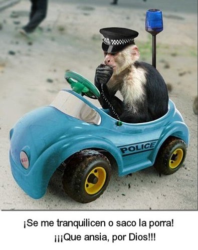 153.jpg