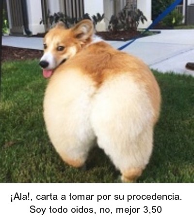 015 soy todo oidos.jpg