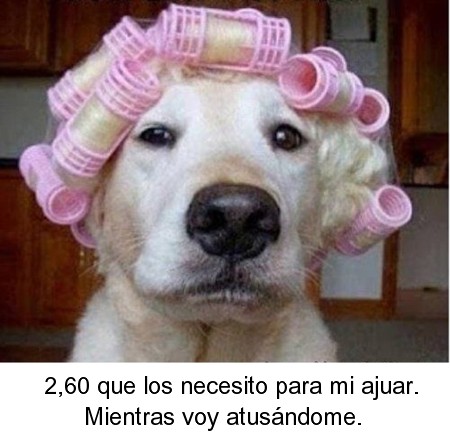 012.jpg