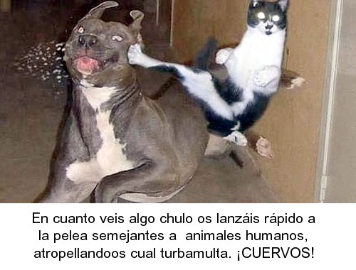 130.jpg