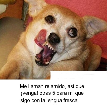 020.jpg
