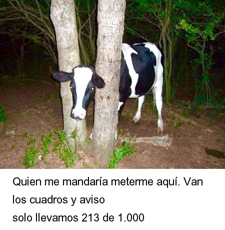 140.jpg
