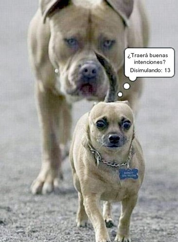132.jpg