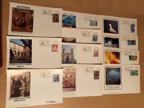 P293.JPG