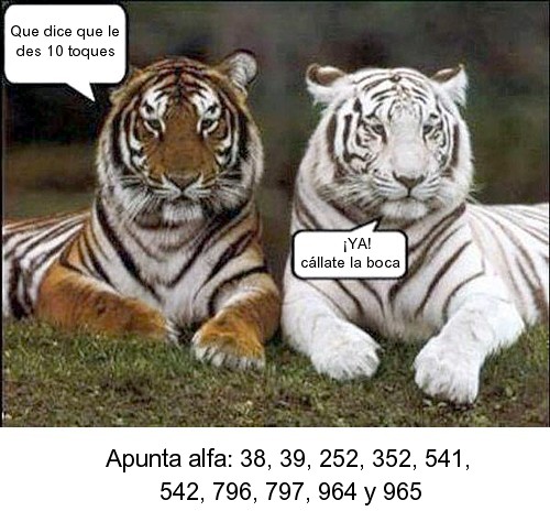 148.jpg