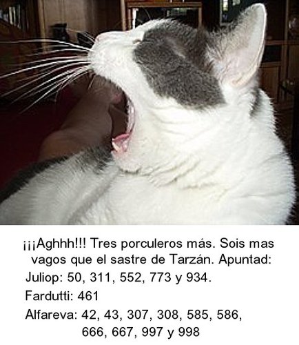 110.jpg