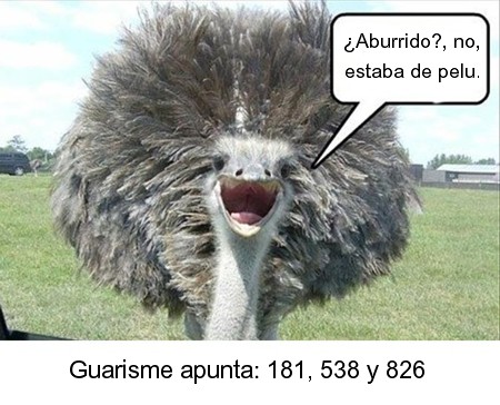 161.jpg