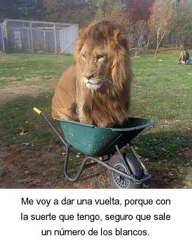 214.jpg